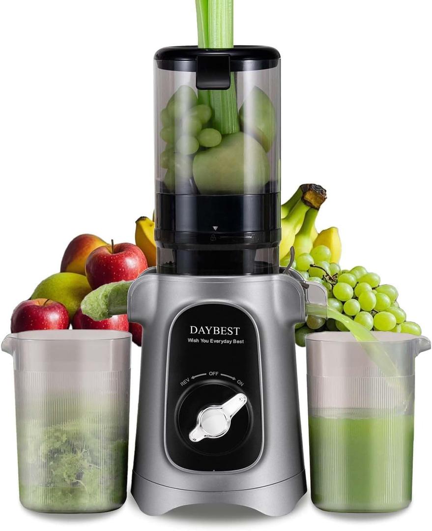 Cold Press Juicer Machines, DAYBEST Slow Masticating Pure High Juice Yield Extractor, 4.1 IN Large Feed Chute for Whole Fruits & Veggies, Dual Replaceable Filters, Quiet Motor, Easy Clean (Grey)