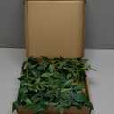 Ling's moment 6ft Rosa Banksiae Artificial Garland, Silk Laurel Leaf Vine for Wedding Arch, Table Centerpiece & Event Decor, Faux Greenery Filler for Elegant Arrangements (Grn- Tender Green)