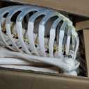 Breesky Human Skeleton Model for Anatomy- Life Size Medical Human Skeleton Model with Nervous System 70.8 in with Rolling Stand for Medical Study and Display 3 Posters