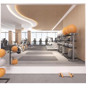 STAWDY Home Gym Mirror,48"x24"-3PCS Frameless Full Body Wall Mirror Length Tempered Glass Mirror Wall-Mounted Mirror for Gym,Yoga,Bedroom,Bathroom,Exercise Room