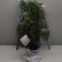 3FT Artificial Cedar Topiary Trees for Outdoors Potted Fake Cypress Trees Faux Evergreen Plants for Home Porch Decor Set of 2