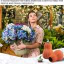 Terracotta Watering Spikes Large Clay Watering Globes Automatic Waterer for Self Water Plant Insert While on Vacation