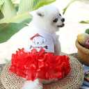 Cute Pet Frilly Dress for Dogs and Cats - Spring and Summer Fruit-Themed Party Gown (red), Small