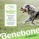 Benebone Tripe Bone Durable Dog Chew Toy for Aggressive Chewers, REAL Beef, Made in USA, Medium