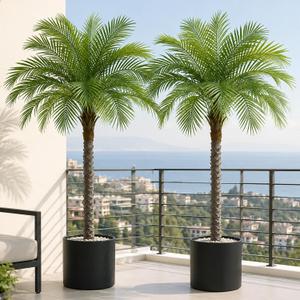 5ft Artificial Phoenix Palm Tree, Faux Coconut Silk Tropical Fake Palm Plant for Indoor Outdoor Home Office Patio Bathroom Pool Coastal Decor(Set of 2)