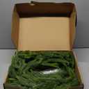 Fovths 1 Pack 6 Feet Christmas Norfolk Garlands Set Green Artificial Winter Pine Garlands Light String Faux Greenery Garland Pine Garland for Xmas Holiday Home Indoor Decor, Green