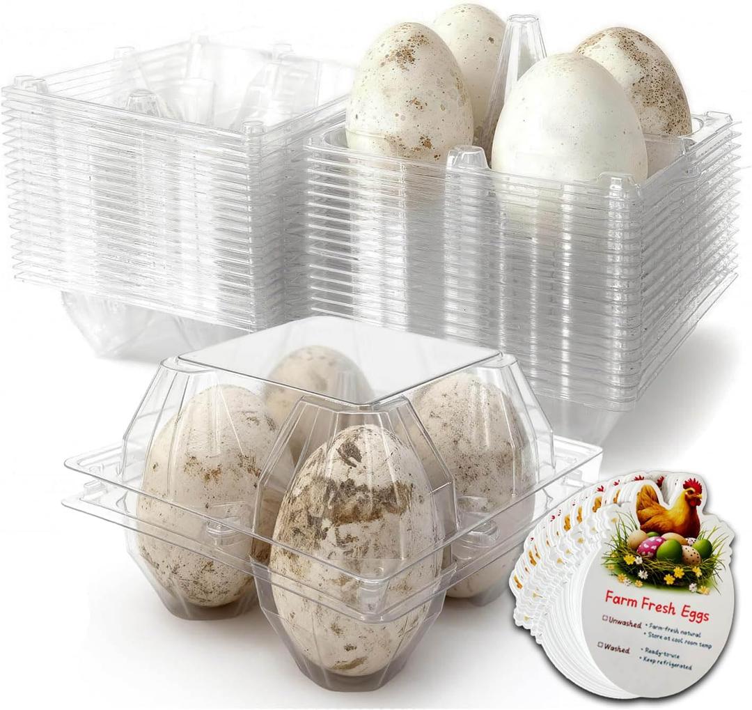 Plastic Goose Egg Cartons Cheap Bulk Empty Clear Large Duck Eggs Tray Holders Box for Farm Reusable Storage Container (20, 2x2)