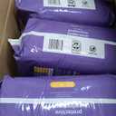 Basics Incontinence Underwear for Women, Protective, Disposable, Postpartum, Maximum Absorbency, Medium, Lavender, 60 Count (3 Packs of 20)