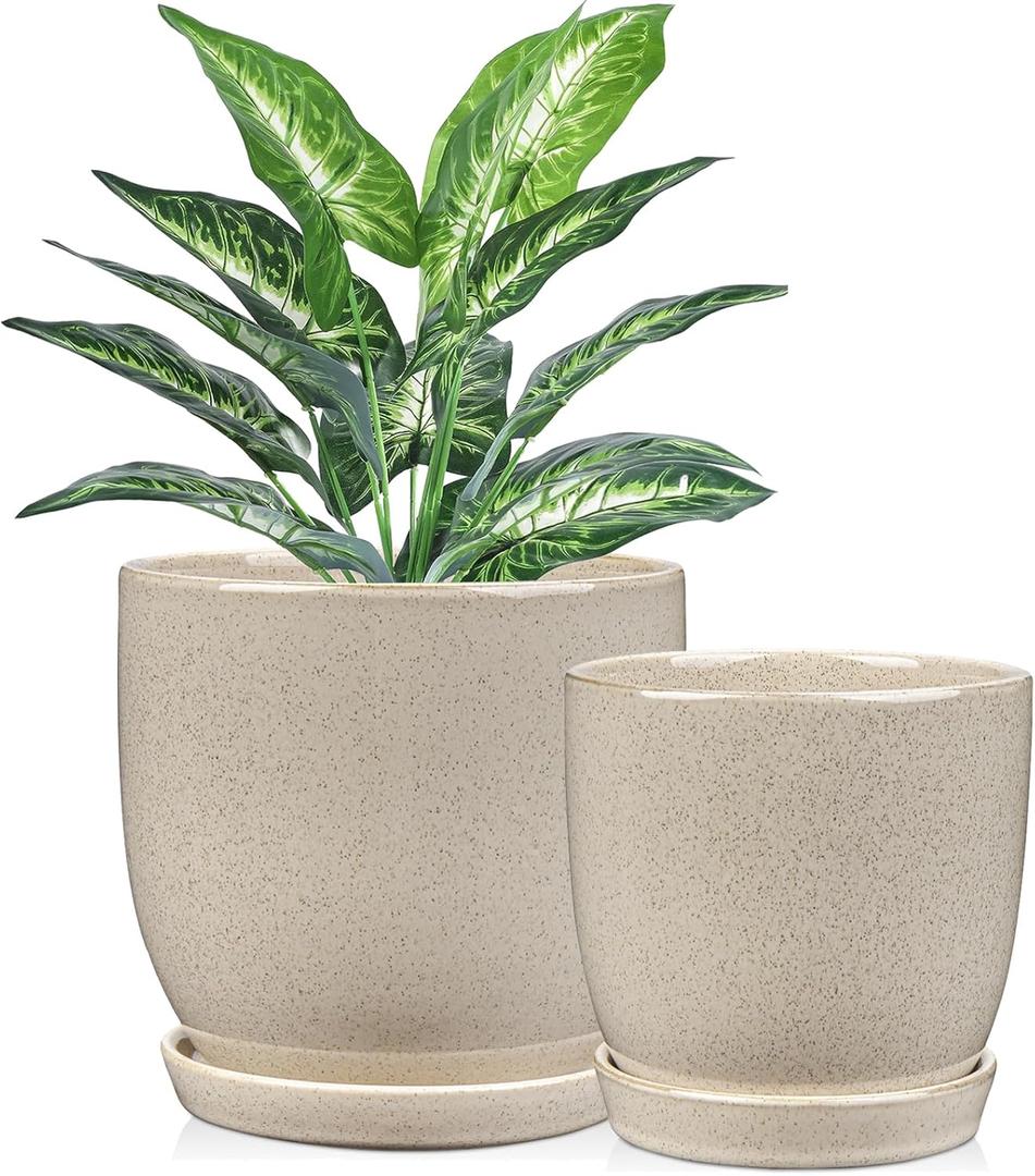 Ceramic Plant Pots 6 Inch + 5 Inch Set of 2, Flower Plants Pot with Drainage Holes and Saucers Tray White Planter Garden Pot for Succulent Cactus Home Decoration Gift Indoor Outdoor