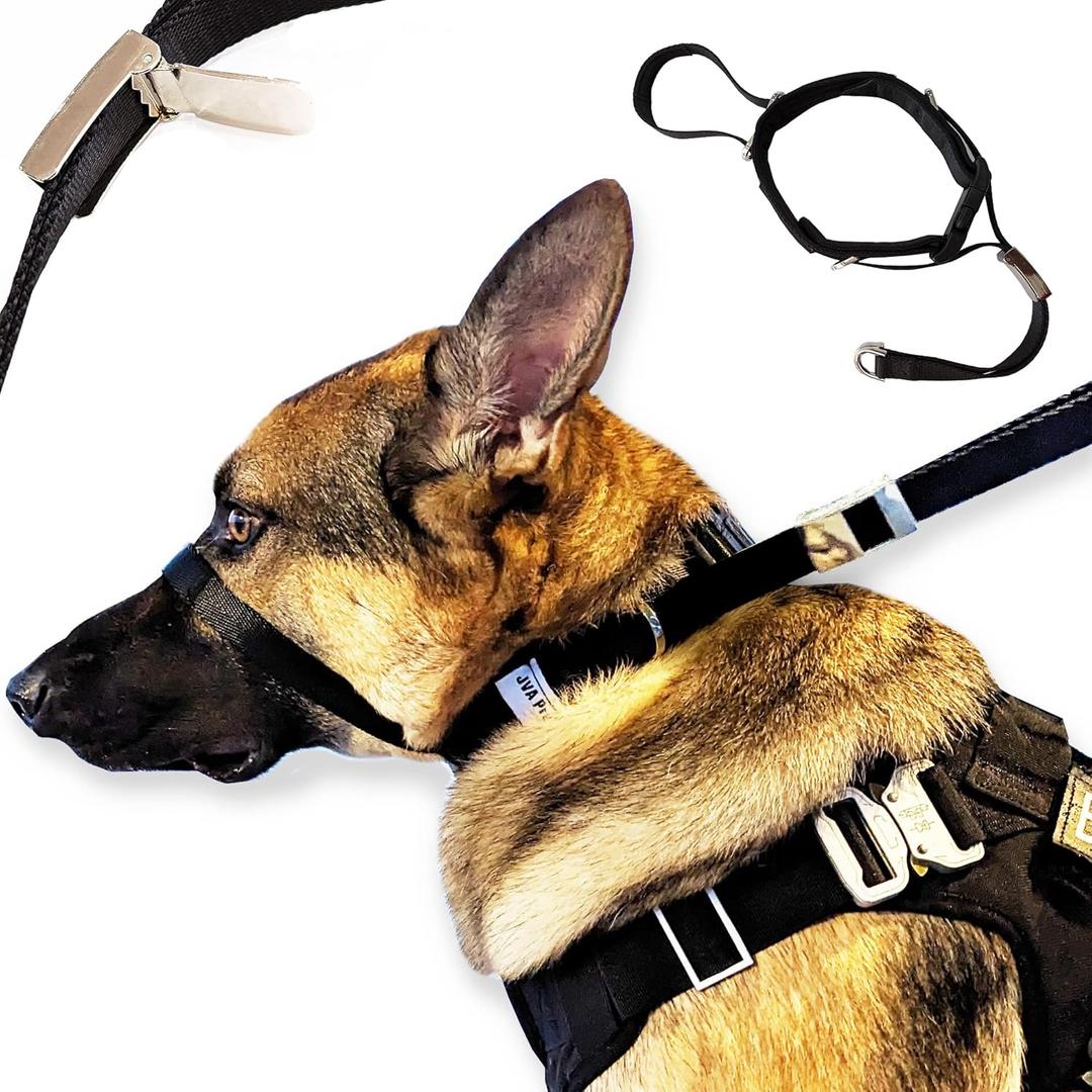 PetsProMax No-Pull Dog Headcollar for Large Dogs (Size L) - Instantly Stops Pulling, Comfortable & Safe Training Collar, Gentle on Your Dogs Nose and Head; No-Pull Dog Collar in Black (L)