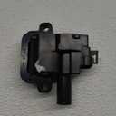 Delphi GN10374 Distributor Ignition Coil