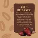 Natures Bakery Double Chocolate Brownie Bars, Whole Grains, Dates, and Cocoa, Plant Based, Dairy-Free, Snack Bar, Box of 12 twin packs