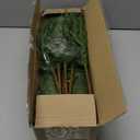 16 Pcs Norfolk Pine Stems, 19" Long Artificial Norfolk Pine Branches, Real Touch Greenery Stems for Vases, DIY Garland, Indoor Home Decorations