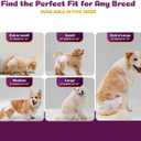 Inspire Pet Care Dog Diapers Female Dogs | Bulk Value Doggie Incontinence, Accidents, for Heat, Pee or Period and Housebreaking (Medium (48 Count))