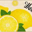 Nialnant Lemon Doormat Outdoor Entrance, Non Slip Rubber Backing Outdoor Mats for Front Door, Welcome Mat Washable Indoor Entrance Rug Lemon Decor 17"x29"