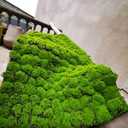 Artificial Moss Turf, 1x1m(3.2x3.2ft) DIY Simulation Artificial Moss for Patio, Balcony, Deck, Yard, Art Wall, Florist Decor