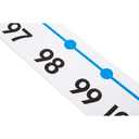 hand2mind -20 to 100 Integer Number Line for Classroom Wall, Math Borders Classroom Bulletin, Number Lines for Students, Teacher Supplies, Number Line with Negative Numbers, Math Posters (12 Sections)