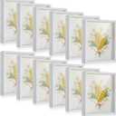 Tuanse 12 Pcs Shadow Box Bulk Display Case Plastic Shadow Box Picture Frame for Photos Flower Wedding Bouquets Pet Memorial Graduation Object Butterfly Tickets Wall Tabletop(5 x 7 Inch, White)