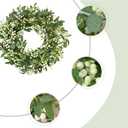 Green Eucalyptus Wreaths for Front Door 22 inch Spring Summer Wreath with Eucalyptus Leaves,Olives Leaves,Berry for Indoor Outdoor Farmhouse Home Porch Wall Window Festival Wedding Decor All Season