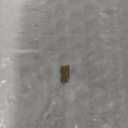 BARNSMITH 30x80 in 2-Panel White Primed Molded Door Slab, Shaker Style Paintable Hollow Core Interior Door Panel, for Swing, Pocket, Sliding Door, Durable and Lightweight, No Assembly Required