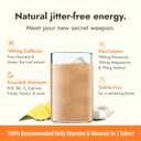 Zipfizz Daily Energy Drink Powder, Pina Colada, 20 Pack | 3-in-1 Sustained Energy, Rapid Hydration, and Essential Vitamins | Sugar-Free | Electrolyte Powder | Contains Vitamin B-12 & Antioxidants (EXP 12/01/26)