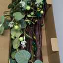 Prelit & Timer - St. Patrick's Day Decorations, 2 Pack 24"/2FT Lighted St Patricks Day Tree Tabletop 24 LED Green Shamrock Lights Berries Eucalyptus Battery Operated St Patricks Day Decor Home Party