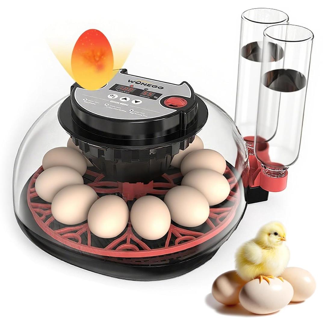12 Egg Incubator for Hatching Eggs, Automatic Turner with Digital Temperature Humidity Control, 360 Clear View Lid, Auto Water Refill & Built-in Candler for Chicken Duck Quail Birds