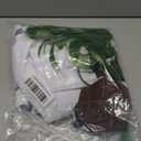 fun shack Womens Chocolate Factory Costume, Book Character Costumes for Adults, Womens Halloween Costumes (Small, White)