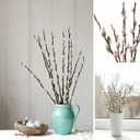 Dried Pussy Willow Branches for Vase, 30 Natural Stems