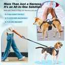 Dog Lift Harness for Large/Medium Dogs, Dog Support & Recovery Sling for Full-Body & Hind/Front Leg Pee-Able Design All-in-One Ideal Assistance for Senior, Disabled, Arthritic & ACL Canines (XL)