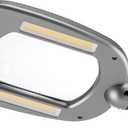 LIGHT IT! By Fulcrum, 20072-401 MultiFlex LED Floor Magnifier Lamp, Silver, Single pack