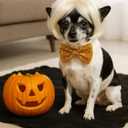 Swooflia Dog Cat Wig - Blonde Short Andy Pet Wigs for Small Large Medium Breed Dogs, Halloween Cosplay Costume Accessories for French English Bulldog Weiner Weenie Dachshund Corgi Pug Chihuahua Puppy