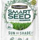 Pennington Smart Seed Sun and Shade Tall Fescue Grass Seed Mix for Southern Lawns 20 lb