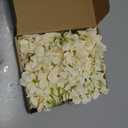 Hydrangea Artificial Flowers, 20 Pcs Champagne Hydrangea Artificial Flowers Bulk, Faux Hydrangea Flowers for Outdoor, Fake Silk Ivory Hydrangea Flowers with Stems for Wedding Decoration Decor