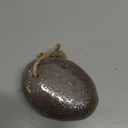 Pumice Stone - Natural Earth Lava Black - Callus/Corn Remover for Feet Heels and Palm - Pedicure Exfoliation Tool - Dry Dead Skin Scrubber - Health Foot Care