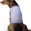 YQYS Dog Shirts Multi-Color Striped Cotton Vest for Small Dogs and Cats Puppy Clothes Teacup Dog Clothing Tank Top for Chihuahua Miniature Pinscher Blue XSmall