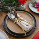 12Pcs Khaki Velvet Christmas Tree Bows Ornaments Vintage Velvet Ribbon Bows for Tree Garland Wreath Indoor Outdoor Christmas Decor Xmas Decorations 1'' Wide, 5 * 7 inch