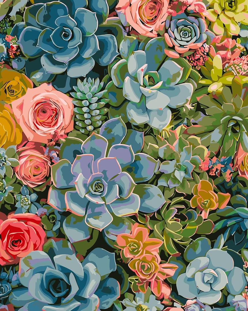 2 x DOTSTART Paint by Numbers Kit for Adults,Colorful Succulents Plants Paint by Number for Adults,Acrylic Adults' Paint-by-Number Kits, Easy Paint by Number Adult Canvas for Home Art Decor, 16X20 inch