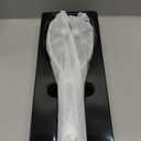 Doge&Vollar Facial Massager Face and Neck | Shaper & Slimmer for Women | Korean Skin Care | Lymphatic Contour Face Brush Face Roller Lymphatic Drainage | Rechargeable for Home & Travel Use