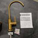 Moen Brushed Gold Sip Traditional Cold Water Kitchen Beverage Faucet with Optional Filtration System, S5510BG