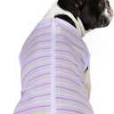 Puppy Striped Recovery Suit for Female Male Dogs Cats,Zip Up Dog Onesie Recovery Shirt Abdominal Wounds,Professional Spay Neuter Dog Pet Bodysuit After Surgery Wear Anti Licking Wounds, Large