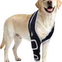 Dog Knee Brace for Torn ACL, CCL Hind/Back Leg Support with Harness & Anti-Slip Straps Adjustable Fit, Soft & Breathable, Post Surgery & Injury Recovery Hand Washable, M
