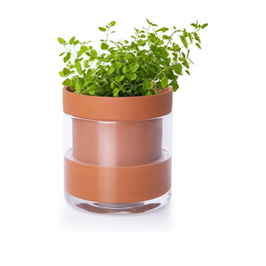 Phoenix Vine 4 Inch Self Watering Planter Pot, Terracotta Clay Pot with Glass Reservoir for Indoor Plants, Herbs, Flowers, Set of 1, 52-A-E-1