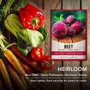 3 x Gardeners Basics, Beet Seeds for Planting Detroit Dark Red 100 Heirloom Non-GMO Beets Plant Seeds for Home Garden Vegetables Makes a Great Gift for Gardeners