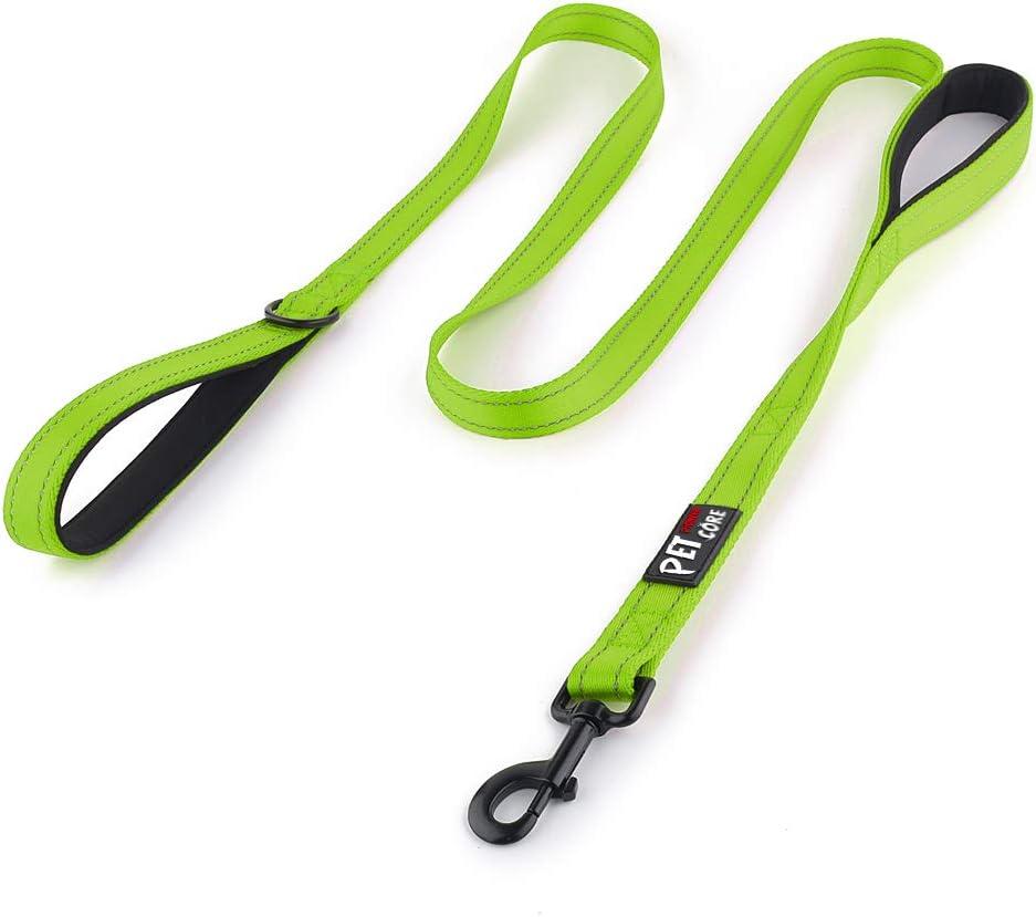 Plutus Pet Double Handle Dog Leash 6ft Long, Padded 2 Handle, Heavy Duty, Reflective Training Leash for Medium Large Dogs, Dual Handle Lead (Green)