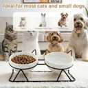 Elevated Tilted Cat Bowls for Indoor CatsRaised Ceramic Cat Bowl Elevated 15,Pet Feeding Bowls for Food and Water Anti Vomiting Bowl(Double Ceramics and Tilt Shelf) Suitable