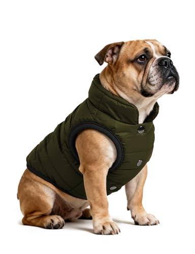 AURUZA Dog Winter Coat, Warm Waterproof Dogs Jacket Small Pet Vest for Medium Dogs Windproof Pet Fleece Vest Snow Jacket for Cold Weather(Army Green, XL)