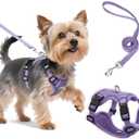 Small Dog Harness and Leash Set, Reflective Soft Breathable Mesh Vest, 3 Buckles, Adjustable Neck and Chest,Step in Dog Harness for Walking, Running, Training, Purple, XS