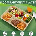 WELLIFE 100% Compostable 5 Compartment Paper Plates, 100 Pack Disposable School Lunch Trays Divided Plates for Adult Youth, 12.5 * 8.6 inch Heavy Duty Eco-Friendly Bagasse Plate for Buffet and Party