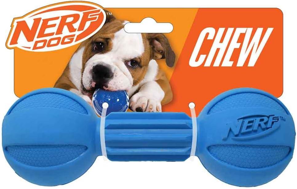 Nerf Dog Rubber Chew Barbell Dog Toy For Aggressive Chewers, Lightweight, Durable and Water Resistant, 7.5 Inches, For Medium/Large Breeds, Single Unit, Blue